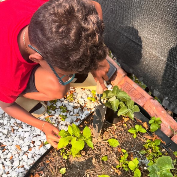 Gardening and nature at Little Creators Daycare in the Bronx